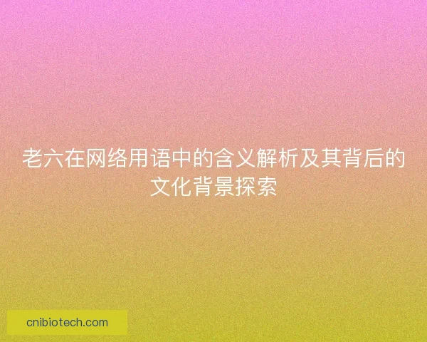 老六在网络用语中的含义解析及其背后的文化背景探索