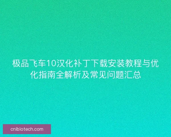 极品飞车10汉化补丁下载安装教程与优化指南全解析及常见问题汇总