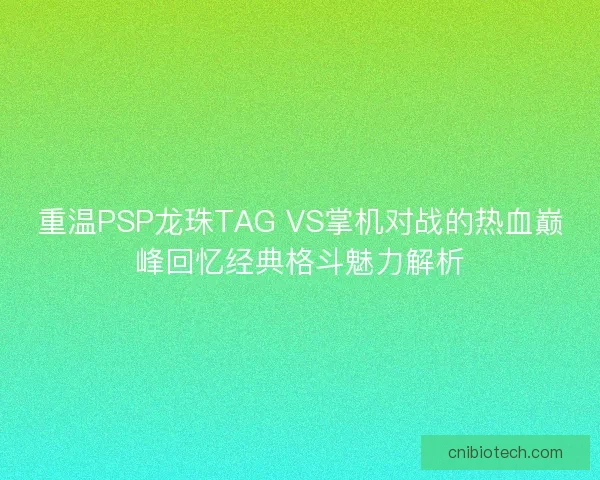 重温PSP龙珠TAG VS掌机对战的热血巅峰回忆经典格斗魅力解析