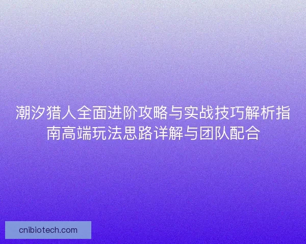 潮汐猎人全面进阶攻略与实战技巧解析指南高端玩法思路详解与团队配合